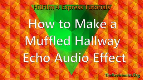 Muffled shots with echo effect - sound effect