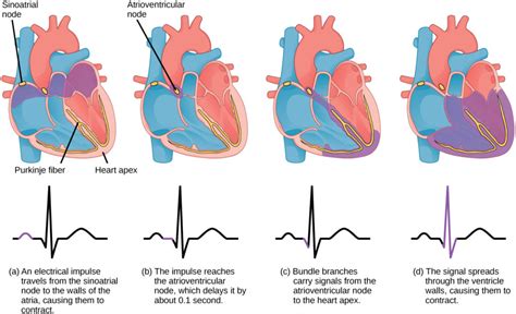 Pulsation, impulses, beating (2) - sound effect