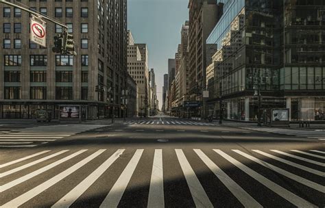 Sound of an empty city street (during the day): sound of the wind and the cries of birds in the background