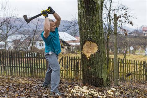Chopping a tree with an ax - sound effect