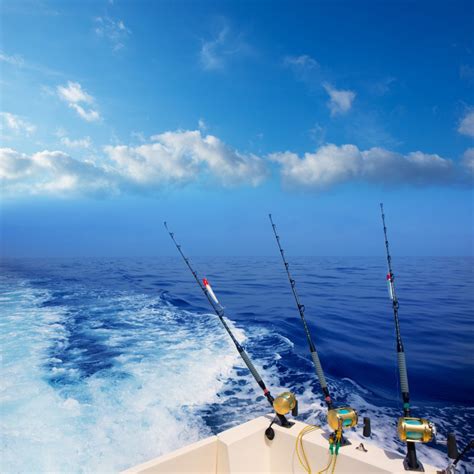 Sea fishing - sound effect