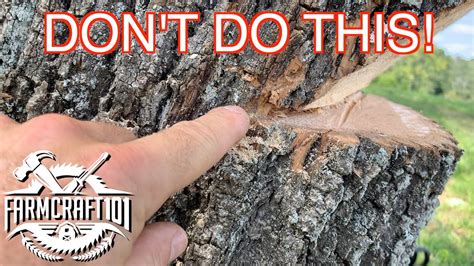 Steps down the tree: woman - sound effect