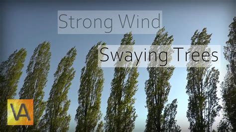 Noise of a strong wind - sound effect