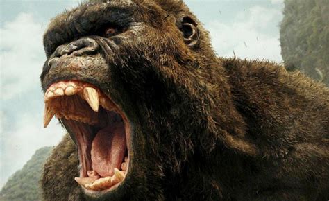 Deadly roar of a large gorilla (king kong) - sound effect