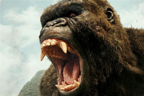 Deadly roar of a large gorilla (king kong) - sound effect