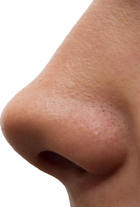 Human nose sound: sniffing