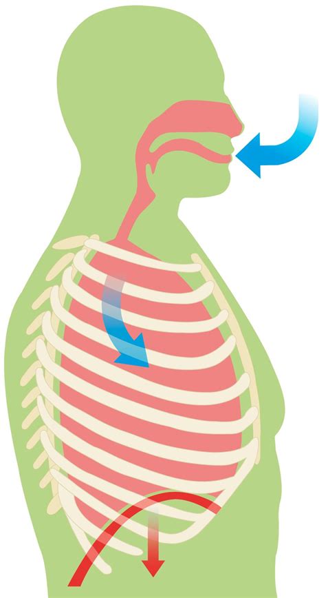 Human breath - sound effect