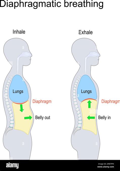 Deep human breathing - sound effect