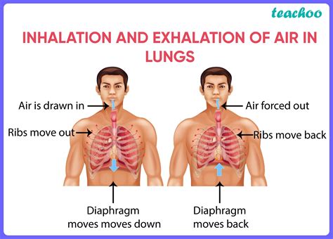 Strong inhalation and exhalation (2) - sound effect