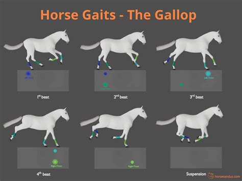 Horse gallop (4) - sound effect