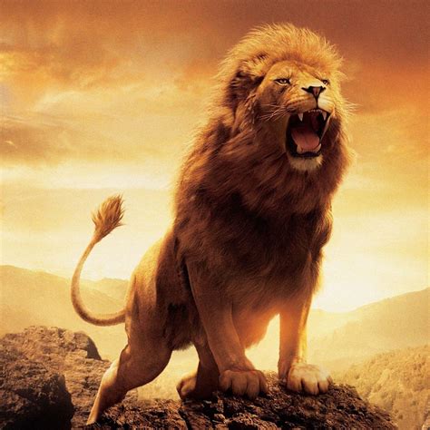 Lion roar - sound effect