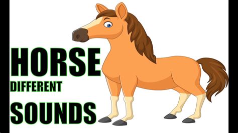 Neighing and snorting horses - sound effect