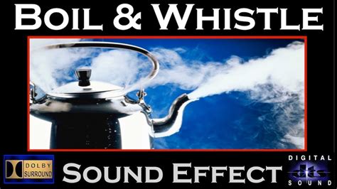 Kettle boils and whistles - sound effect