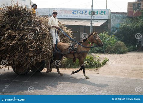 Horse with loaded cart is riding - sound effect