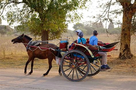 Horse with cart rides - sound effect