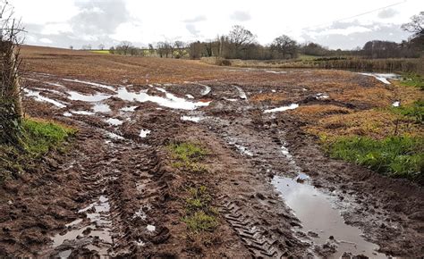 Driving on wet ground - sound effect