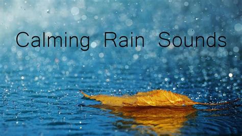 Sounds of the rain sound effects