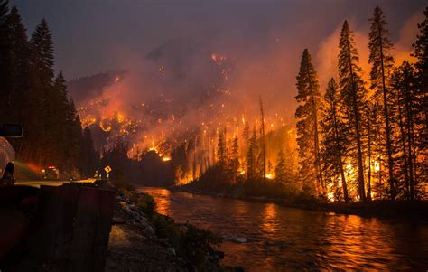 Day forest fire, fire and flames - sound effect