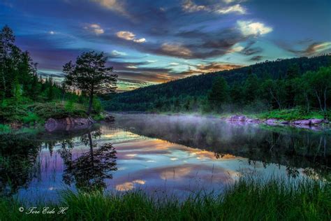 Atmosphere of a july summer night - sound effect