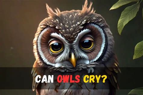 Cry of an owl on the background of highway - sound effect