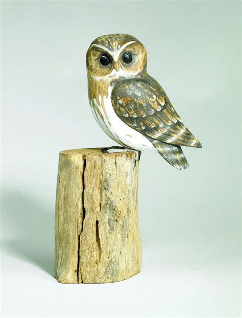 Wood owls - sound effect