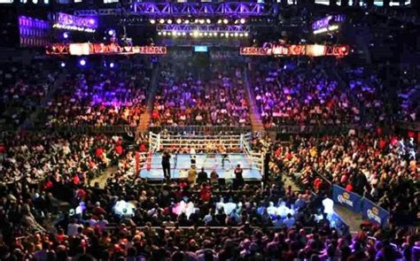 Crowd at a boxing match - sound effect