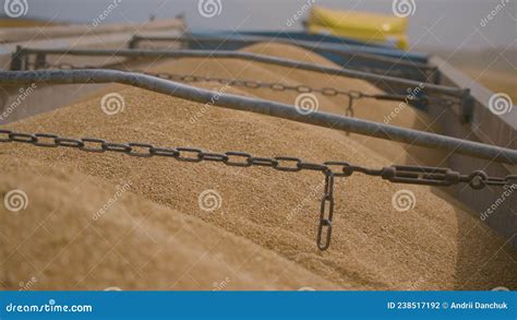 Grain is poured from the combine into the body - sound effect