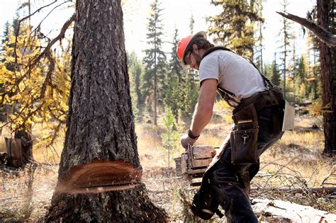 Wood cutting sound effects