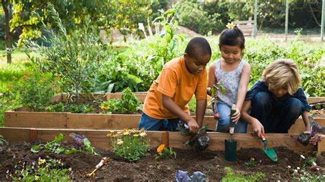 Small group of children are playing in the garden - sound effect