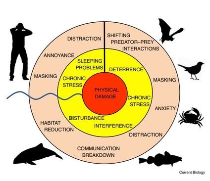 Biological noise - sound effect