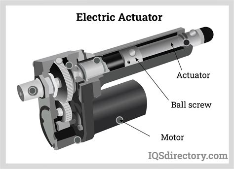 Electronic sound activator