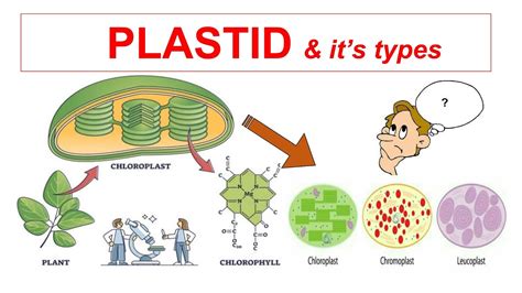 Plastid, four explosions - sound effect