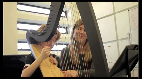 Harp sound for film (3)