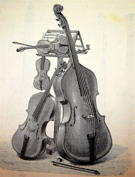 Sound viola (2)