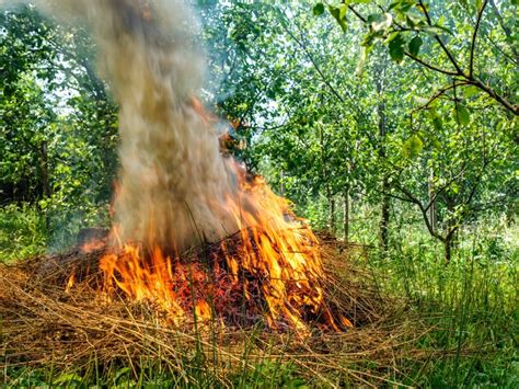 Burning large pile of leaves - sound effect