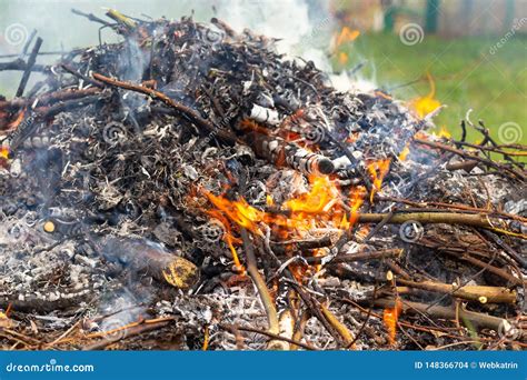 Burning large pile of leaves - sound effect