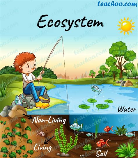 Ecosystem (2) - sound effect