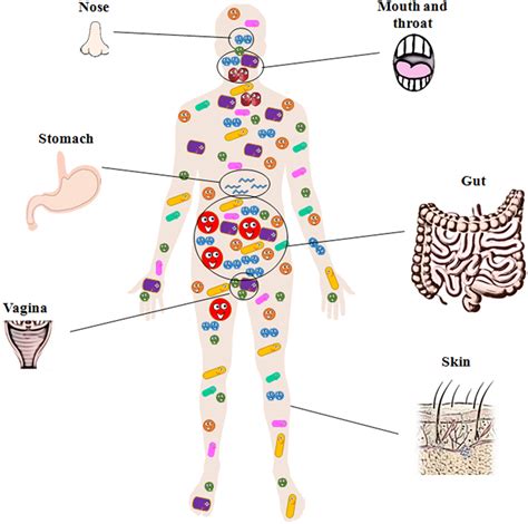 Flesh, body, organism - sound effect