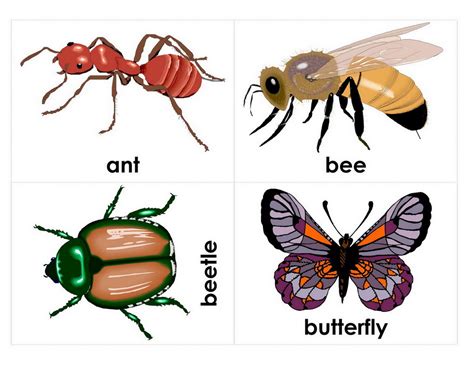 Insects (4) - sound effect
