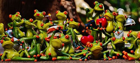 Lots of frogs - sound effect