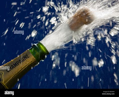 Cork pops out of a bottle of champagne - sound effect