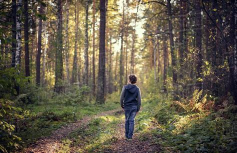 Wandering through the bushes - sound effect