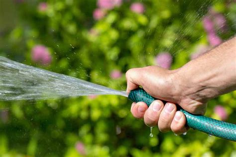 Water flowing from a garden hose - sound effect