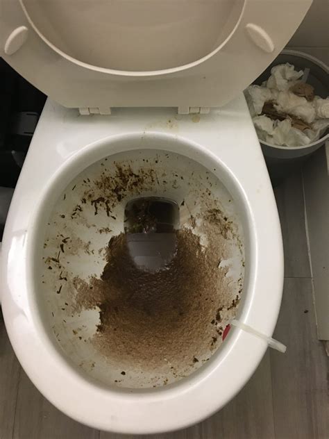 Clogged toilet - sound effect