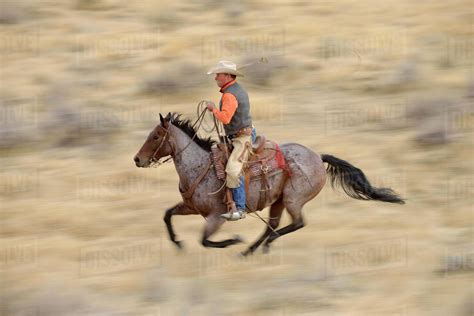 Cowboys on horseback galloping screaming - sound effect