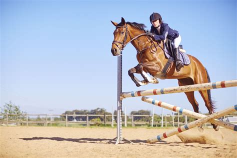 Horse jumping over an obstacle - sound effect