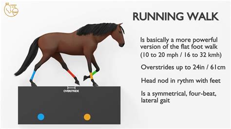 Horse trot approaches and runs away - sound effect