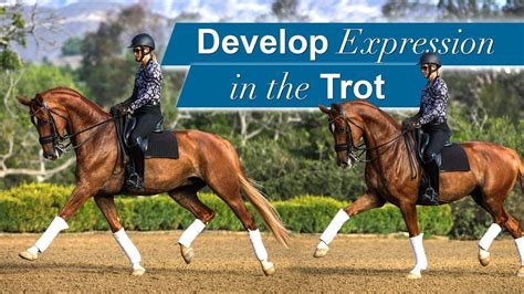 Horse trot approaches and runs away - sound effect