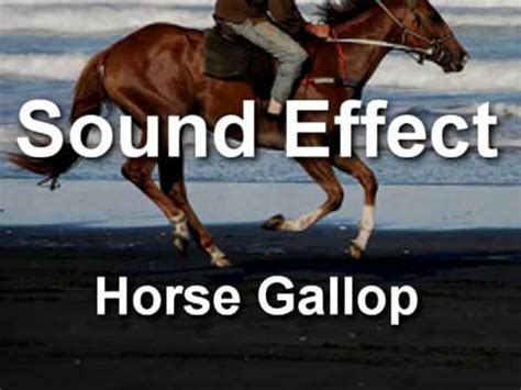 Horse gallops on hard surface (artificial sound)