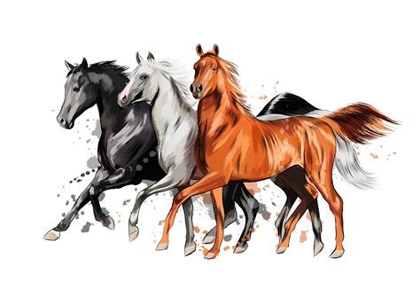 Three horses gallop - sound effect